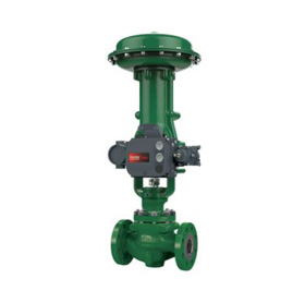 Globe Valve