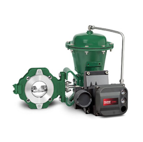 Butterfly Valve