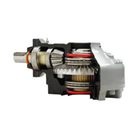 Bevel Gear