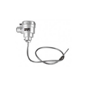 Extension Lead Wire Type Themocouple